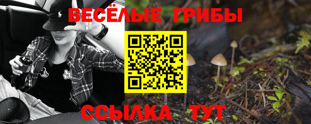 Горно-Алтайск  Псилоцибиновые грибы Psilocybine cubensis  Вход с VPN 